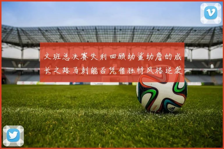 文班总决赛失利回顾幼鲨幼詹的成长之路马刺能否凭借独特风格逆袭成功