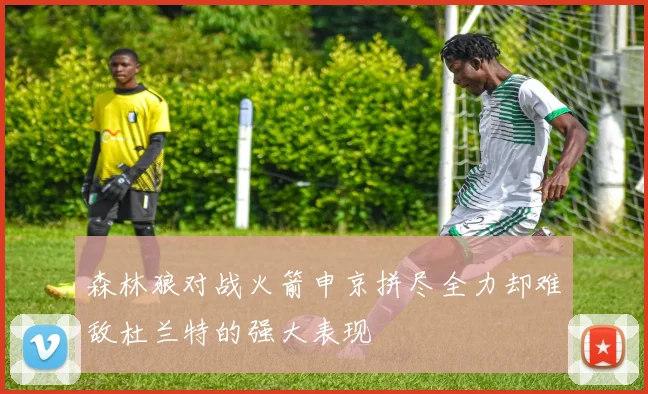 森林狼对战火箭申京拼尽全力却难敌杜兰特的强大表现