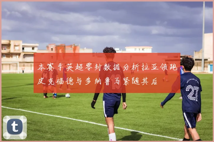 本赛季英超零封数据分析拉亚领跑皮克福德与多纳鲁马紧随其后